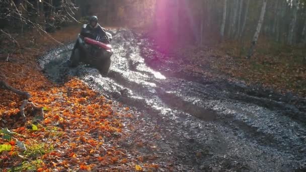 Активный отдых на свежем воздухе - человек, катающийся на квадроциклах по грязной трассе в осеннем лесу — стоковое видео