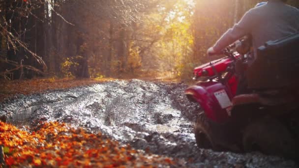 Outdoorové aktivity - otec se synem jezdí na atletických vozidlech na bahnité stezce v podzimním lese — Stock video