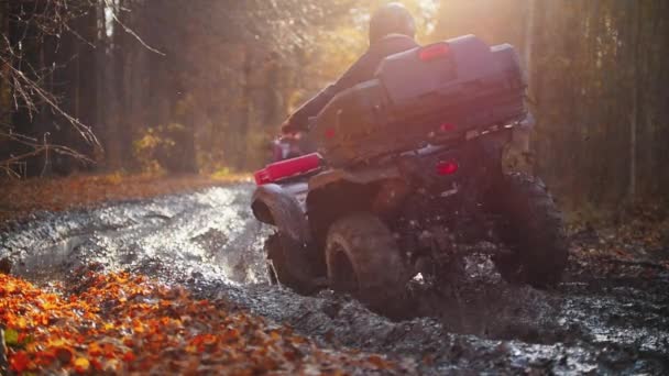 Outdoor-activiteit - mensen rijden op ATV 's op een modderige, ruige weg in het herfstbos — Stockvideo