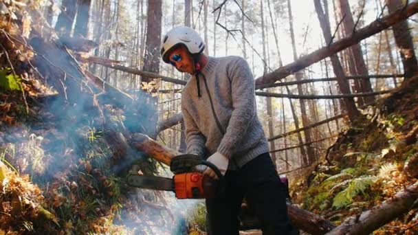 Ranger forestier tenant une tronçonneuse dans la forêt — Video