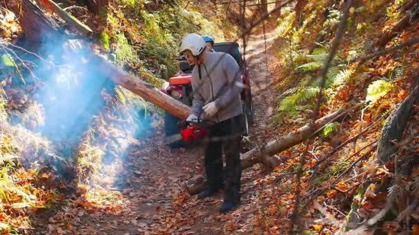 A man turns on a chainsaw in the woods and his son is waiting for him on a quad bike — Stock Video