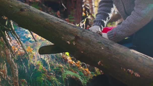 Un guardiano della foresta taglia un tronco con una motosega nella foresta — Video Stock