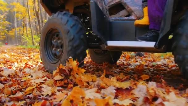Outdoor-activiteit - een vrouw op een ATV in het bos - paardrijden op de herfstbladeren — Stockvideo