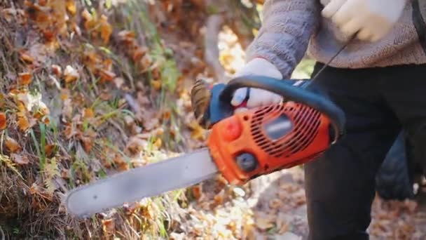 Un homme allume une tronçonneuse dans les bois — Video