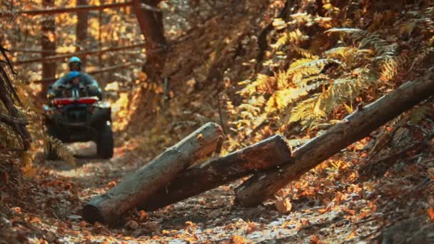 En höstskog - stockar liggande på vägen - far och son sittande på ATV — Stockvideo