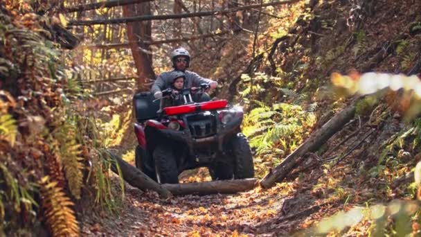 Açık hava aktiviteleri. Sonbahar ormanlarında baba oğul bisiklete biniyor. — Stok video