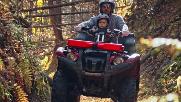 Actividades al aire libre de otoño - padre con hijo en bicicleta cuádruple en el bosque — Vídeo de stock