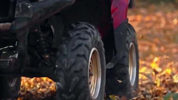 Menschen fahren im herbstlichen Wald über orangefarbene Blätter — Stockvideo