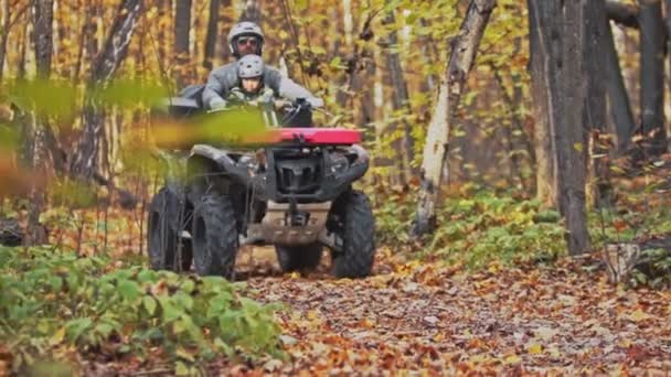 Padre e hijo montando atv en el bosque de otoño sobre hojas naranjas — Vídeo de stock