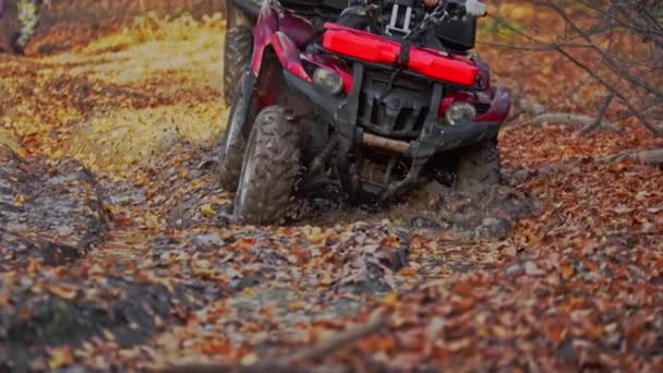 Gente montando atv en el bosque de otoño en la pista fangosa — Vídeo de stock