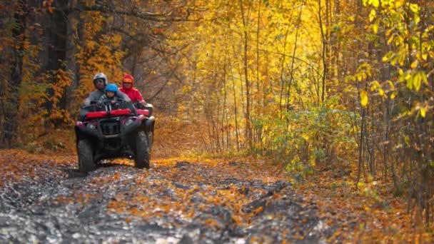 Tre personer rider atv i höstskogen på lerig spår — Stockvideo