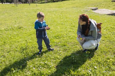 Mutlu anne çömelmiş ve yeşil çayırda oğluna sarı çiçekleri gösteriyor.