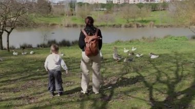 Anne ve oğlu parkta göl kenarında kaz besliyor.