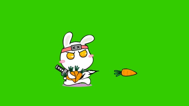 Rabbit Ninja Geanimeerd Groen Scherm Voor Video — Stockvideo