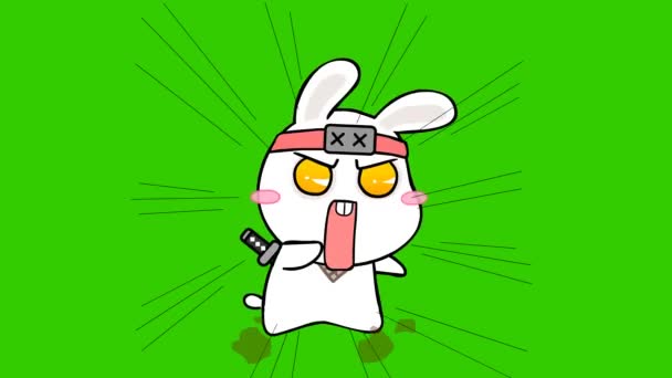 Rabbit Ninja Animált Zöld Képernyőn Videó — Stock videók