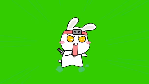 Rabbit Ninja Анимирован Зеленом Экране Вашего Видео — стоковое видео