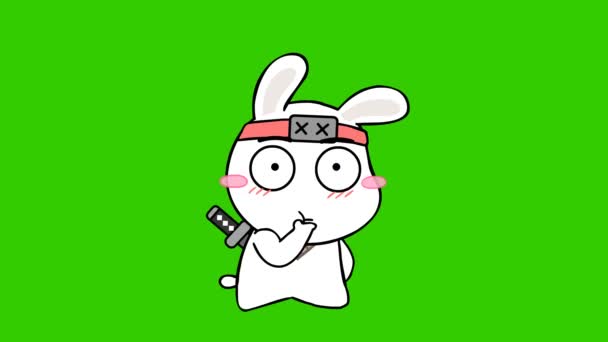 Rabbit Ninja Animated Green Screen Your Video — Stock Video