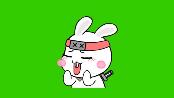 あなたのビデオのための緑のスクリーンでアニメーションウサギ忍者 — ストック動画