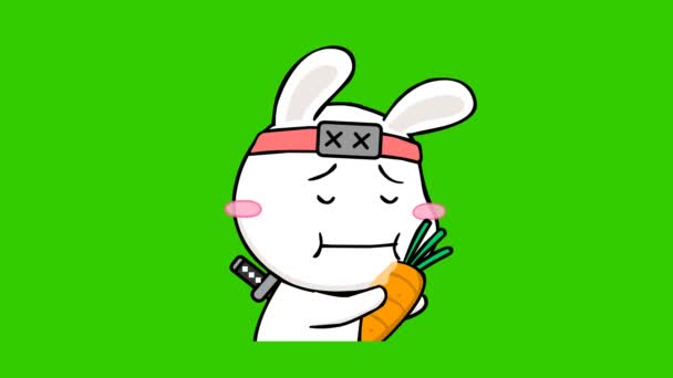 Rabbit Ninja Animado Tela Verde Para Seu Vídeo — Vídeo de Stock