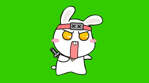 あなたのビデオのための緑のスクリーンでアニメーションウサギ忍者 — ストック動画