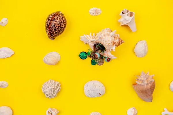 Sarı arka planda kostüm ve deniz kabukları.