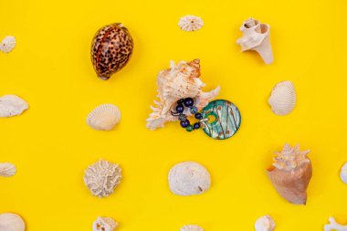 Sarı arka planda kostüm ve deniz kabukları.