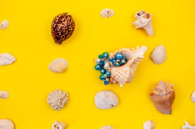 Sarı arka planda kostüm ve deniz kabukları.