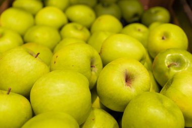 Olgun yeşil elmalar bir kutuda yatıyor. Bir sürü lezzetli meyve.