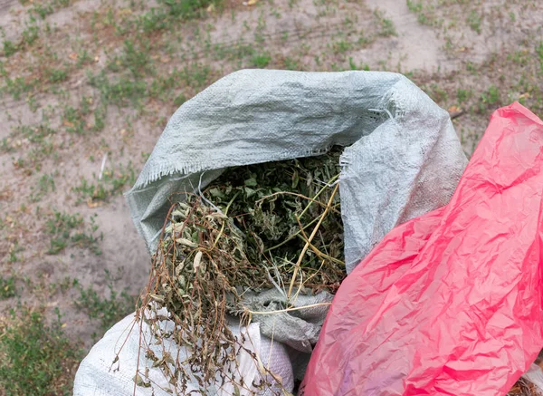 Humus ve gübre bir torbaya konur ve bahçede durur..
