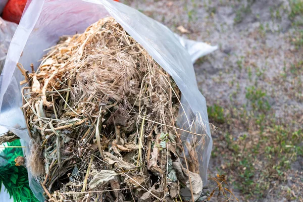 Humus ve gübre bir torbaya konur ve bahçede durur..