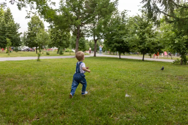 Ein kleiner Junge von zwei Jahren in blauem Overall und weißem T-Shirt spaziert durch den Park und ist überrascht von allem, was um ihn herum passiert. Stockbild
