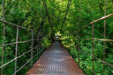 Demir paraşüt köprüsü ormandaki yoğun bitki örtüsünden geçer.