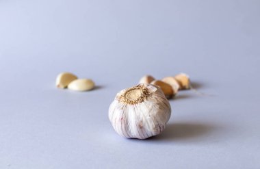 Sarımsak gri arka planda yatıyor. Yakın mesafeden çekilmiş.. 