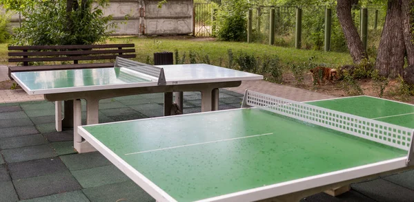 Tezgahın üzerinde bir sürü farklı dolgu malzemesi olan çörekler var.