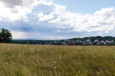 Yeşil çimen, ufukta orman ve bulutlu gökyüzü ile kırsal yaz manzarası