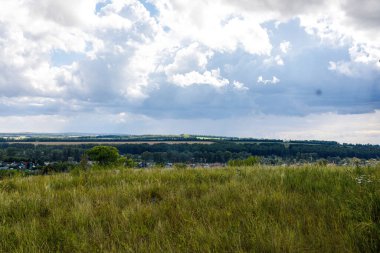 Yeşil çimen, ufukta orman ve bulutlu gökyüzü ile kırsal yaz manzarası