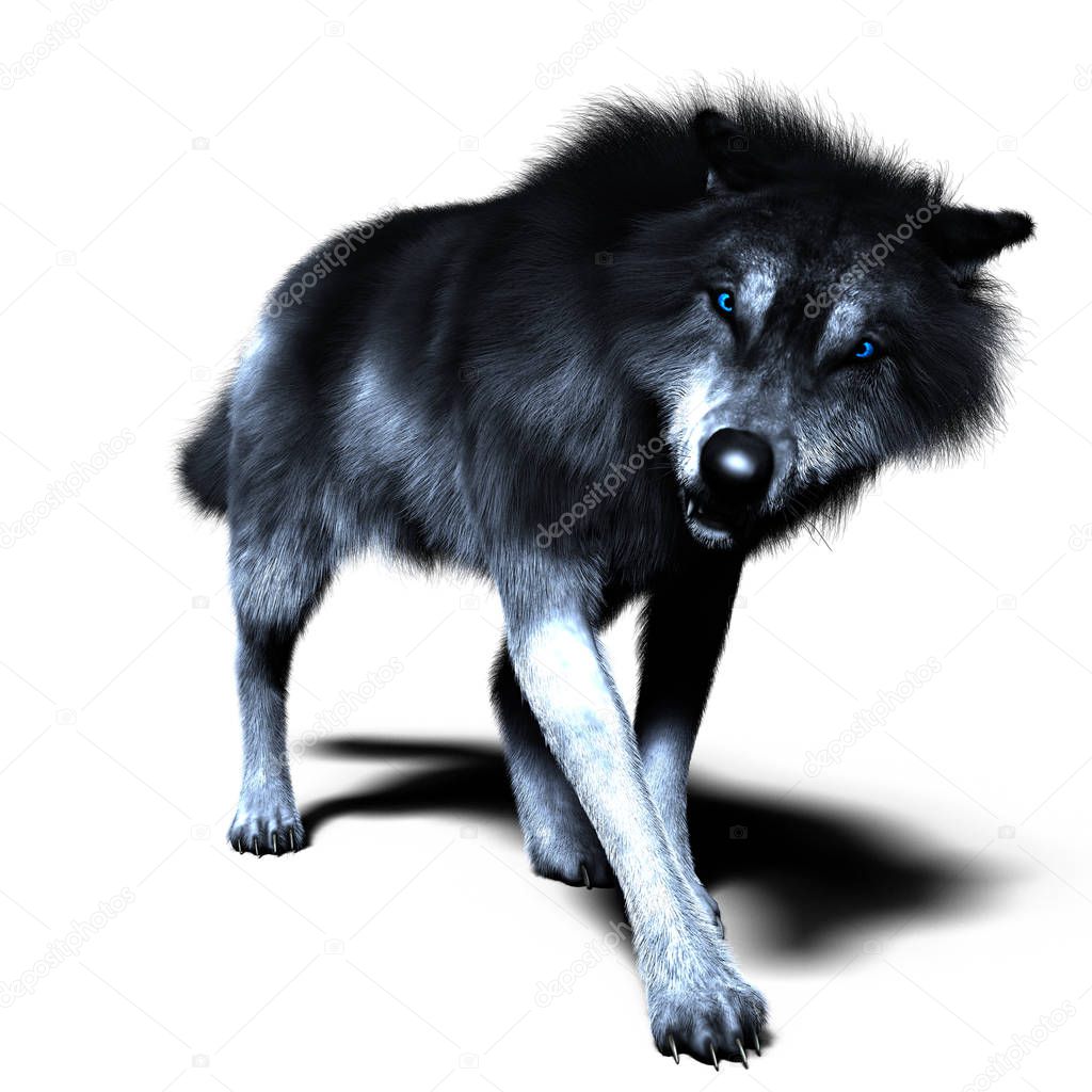 3D Ferocious Wolf Snarling