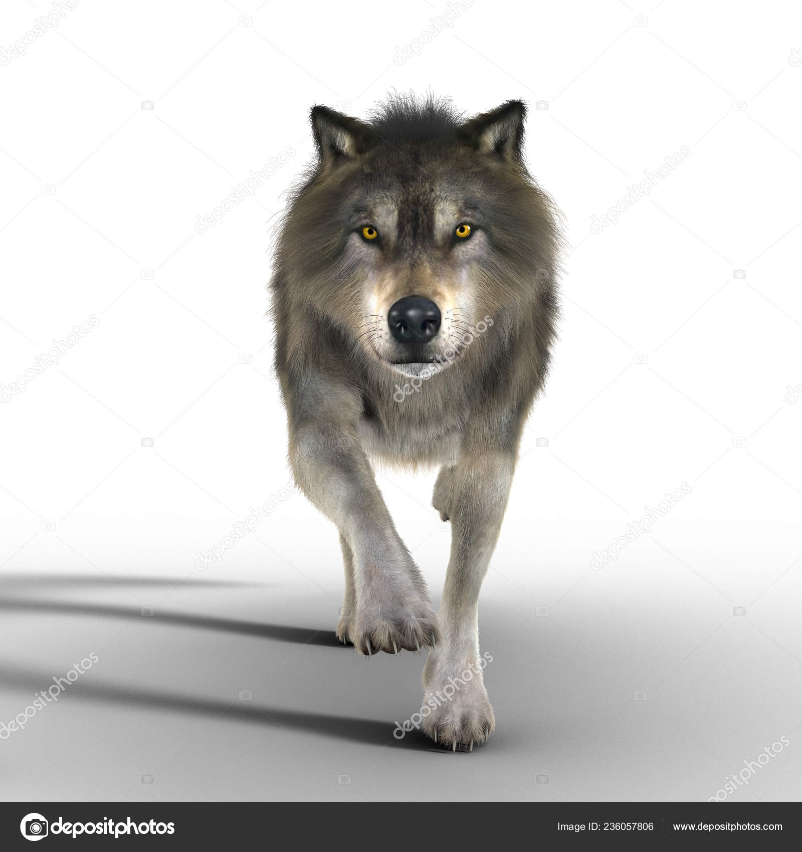 Illustration Rendering Great Brown Wolf Running Cameral Particularly Suited Paranormal Stock Photo C Merrydesigns 236057806