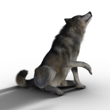 3D resim işleme oturan büyük kahverengi bir kurt. Özellikle uygun paranormal, yaban hayatı, korku, gerilim ve kitap kapak resmi birçok diğer türler. Biri bir dizi.