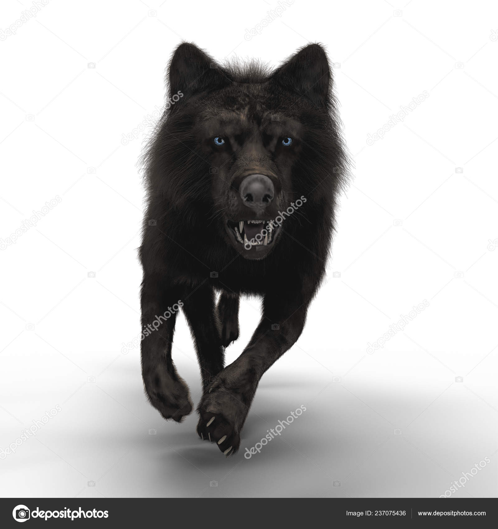 3d 렁 늑대 실행 — 스톡 사진 © MerryDesigns #237075436, image size:1600x1700