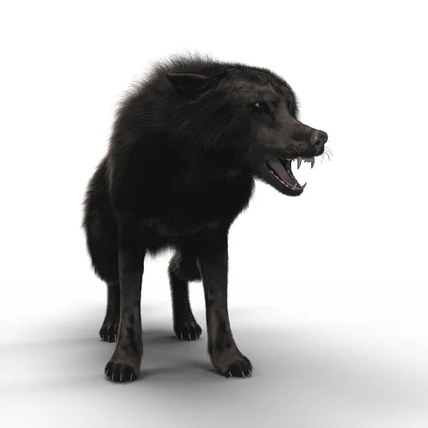 Illustration Rendering Snarling Black Wolf Ready Defend Fight Particularly Suited — Stock Photo, Image