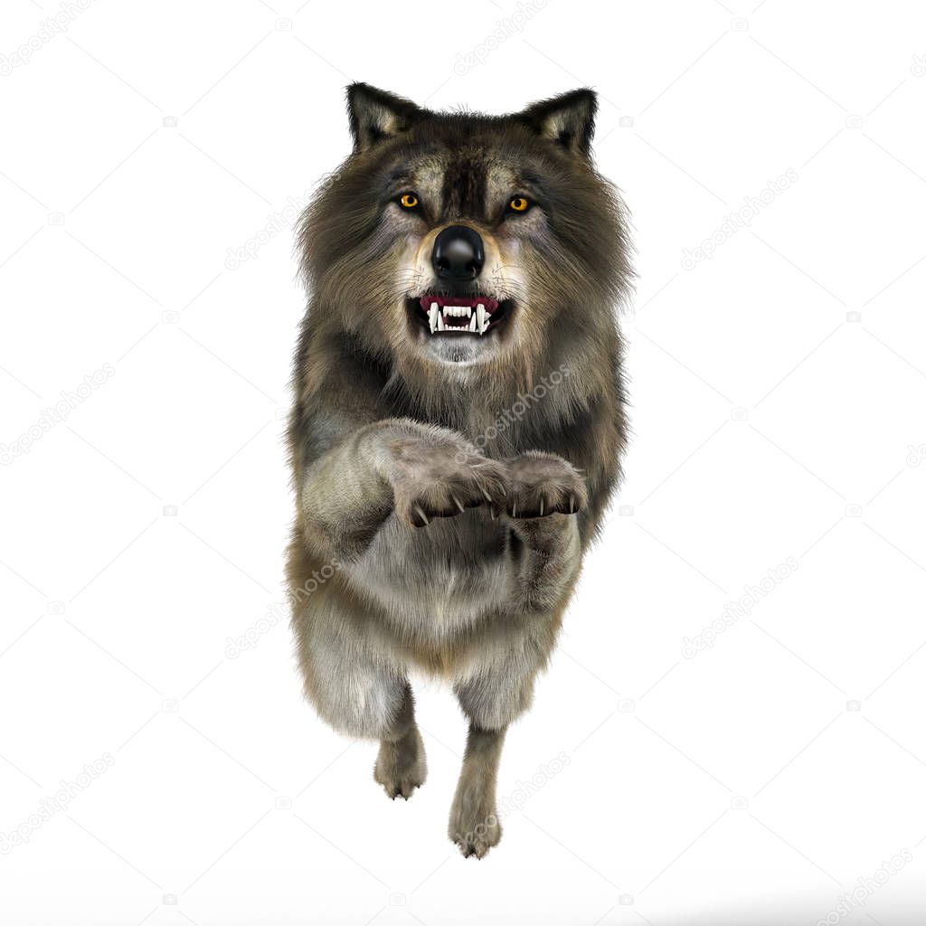 Rendering Snarling Attacking Wolf