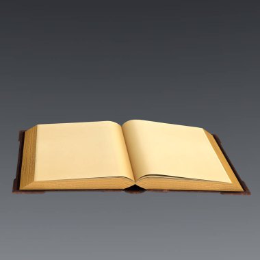 3D boş sayfalarla açık eski bir kitabın oluşturulması