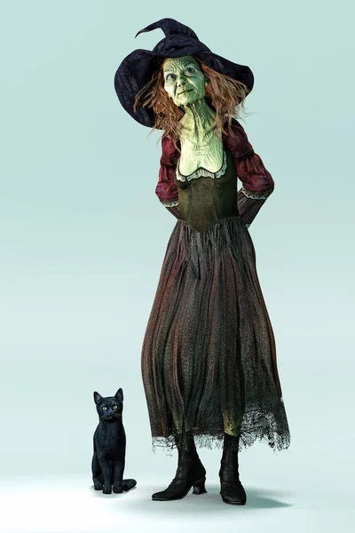 Isolated traditional halloween witch looking upwards with her black cat at her side — Stock Photo, Image