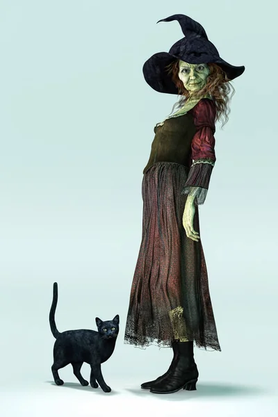 Isolated side view of a traditional witch and her black cat — Stock Photo, Image