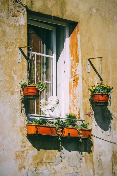 Altes Fenster mit buntem Blumentopf in der Straße von Vilnius, Litauen — Stockfoto