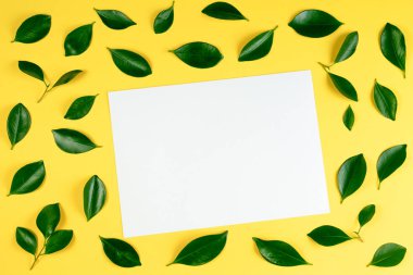 Yeşil ağaç yaprakları çerçeve üzerinde sarı arka plan beyaz boş kart ile