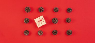 Noel kompozisyon. Desen çam kozalakları, Noel dekorasyon hediye kutu kırmızı zemin üzerine yaptı. Üstten görünüm, düz yatıyordu