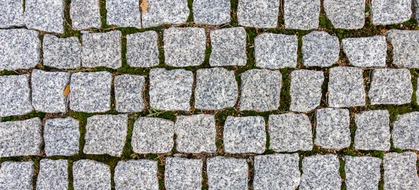 Pavement with grass and dry leaves shape as irregular pattern texture background — Stock Photo, Image