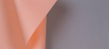 Soyut geometrik şekil pastel mercan pembe ve gri renk Kağıt arka plan.